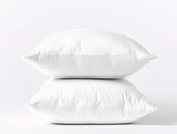 Cloud Soft Organic Sateen Pillowcases Pillowcases Coyuchi Alpine White Standard/Queen 