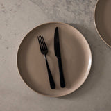 Dinner Plates Set