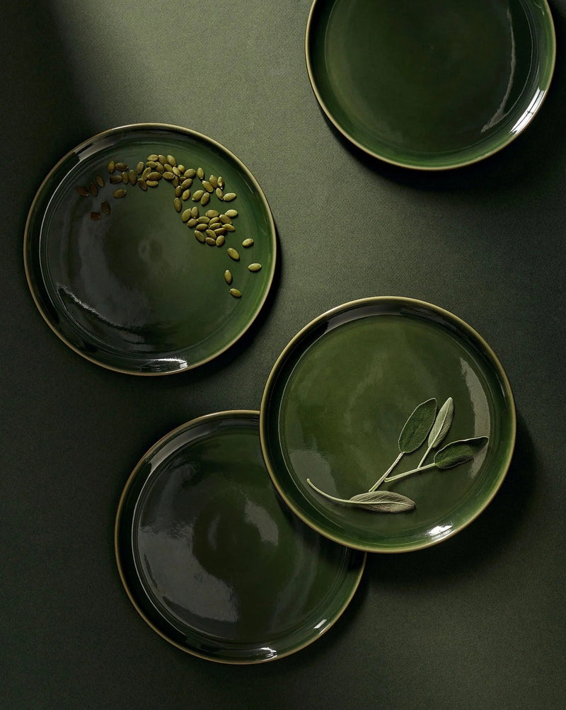 Edan Stoneware Flat Salad/Dinner Plate Set Plates GHARYAN Stoneware Matte Green and Shiny Green 