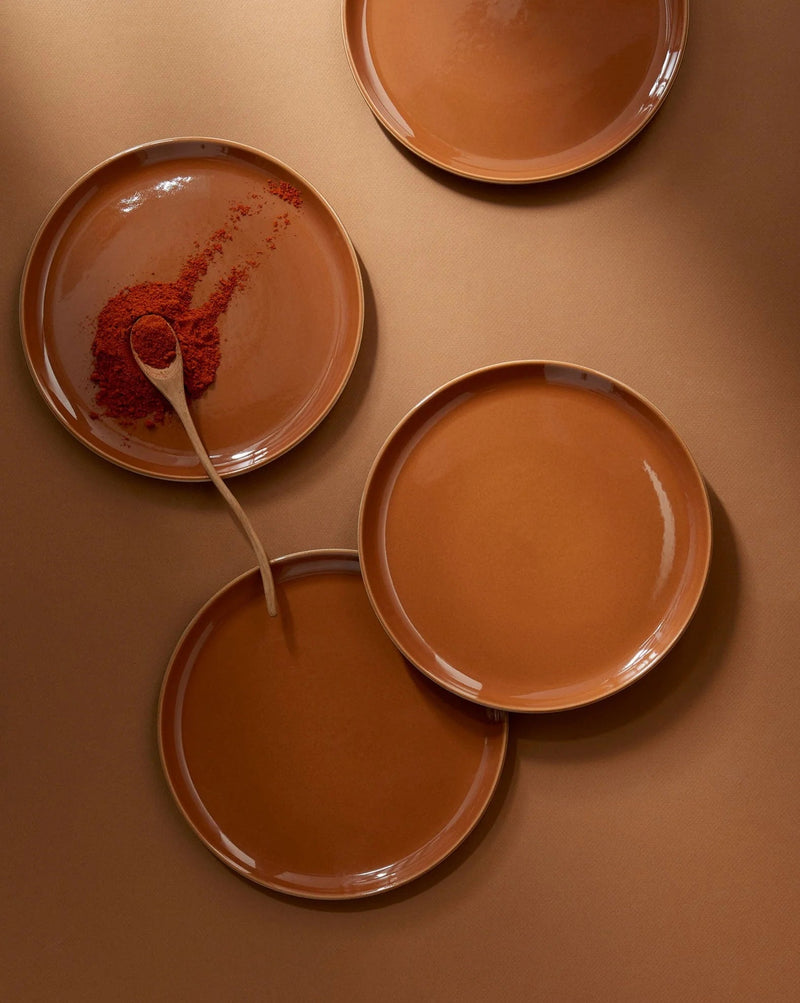 Edan Stoneware Flat Salad/Dinner Plate Set Plates GHARYAN Stoneware Matte Terracotta and Shiny Terracotta 