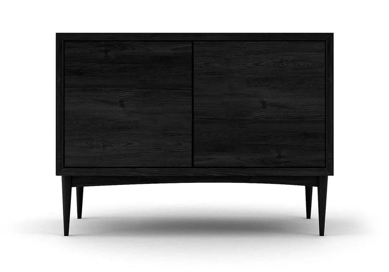 Emilia 2-Door Storage Cabinet Media Consoles and Credenzas Medley Black Oak 