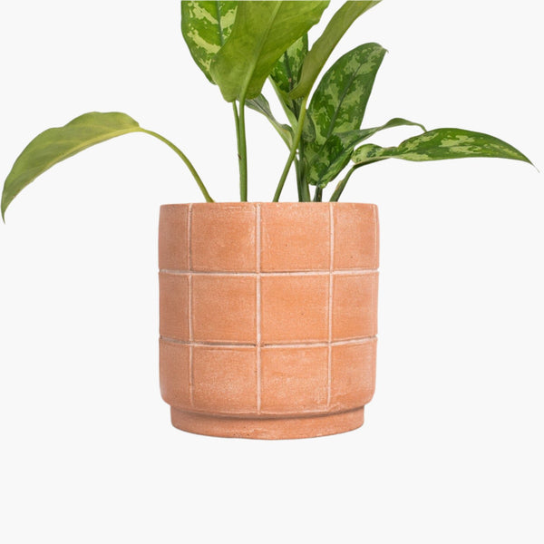 Grid Terracotta Planter Planters MESO Goods 