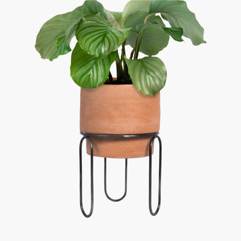 Jaro Terracotta Planter Planters MESO Goods 