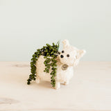 LIKHÂ Baby Cat Planter - Handmade Pot | LIKHÂ Planters LIKHÂ 