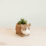 Corgi Succulent Pot