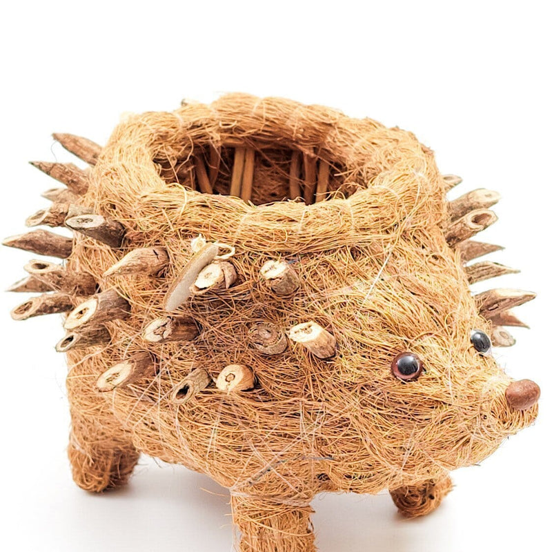 LIKHÂ Baby Hedgehog Plant Pot - Handmade Planters | LIKHÂ Planters LIKHÂ 