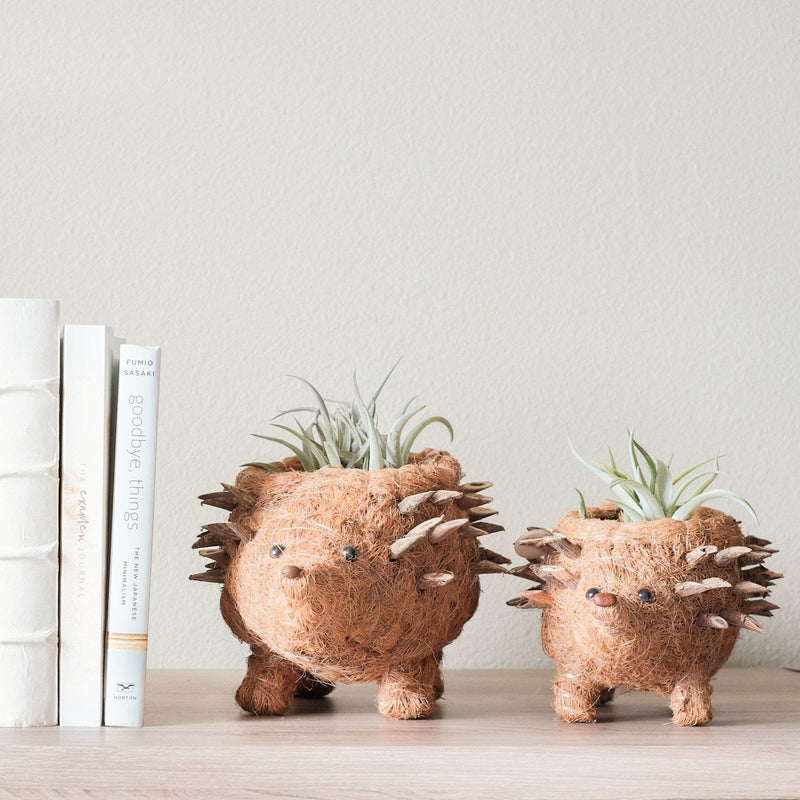 LIKHÂ Baby Hedgehog Plant Pot - Handmade Planters | LIKHÂ Planters LIKHÂ 