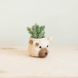 LIKHÂ Bear Planter - Animal Head Planters | LIKHÂ Planters LIKHÂ 