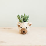 LIKHÂ Bear Planter - Animal Head Planters | LIKHÂ Planters LIKHÂ 