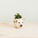 LIKHÂ Cat Succulent Planter - Animal Head Planters | LIKHÂ Planters LIKHÂ 