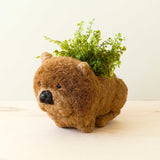 LIKHÂ Chow Chow Planter - Dog Plant Pot | LIKHÂ LIKHÂ 