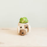 LIKHÂ Dog Succulent Planter - Animal Head Plant Pot | LIKHÂ Planters LIKHÂ 