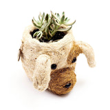 LIKHÂ Dog Succulent Planter - Animal Head Plant Pot | LIKHÂ Planters LIKHÂ 