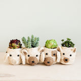 LIKHÂ Dog Succulent Planter - Animal Head Plant Pot | LIKHÂ Planters LIKHÂ 