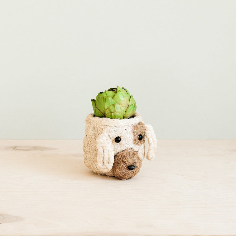 LIKHÂ Dog Succulent Planter - Animal Head Plant Pot | LIKHÂ Planters LIKHÂ 