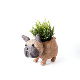 LIKHÂ French Bulldog Planter - Coco Coir Pots | LIKHÂ Planters LIKHÂ 