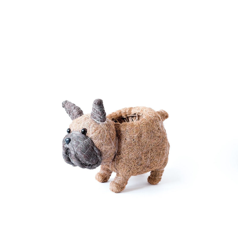 LIKHÂ French Bulldog Planter - Coco Coir Pots | LIKHÂ Planters LIKHÂ 