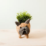 LIKHÂ French Bulldog Planter - Coco Coir Pots | LIKHÂ Planters LIKHÂ 