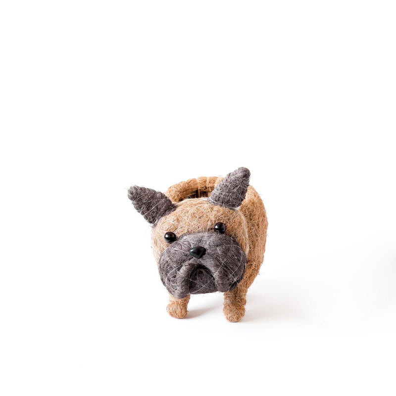 LIKHÂ French Bulldog Planter - Coco Coir Pots | LIKHÂ Planters LIKHÂ 