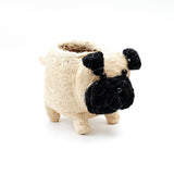 LIKHÂ Pug Planter - Coco Coir Pots | LIKHÂ Planters LIKHÂ 