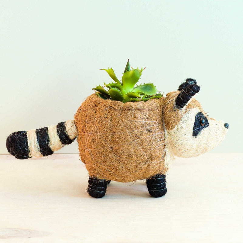 LIKHÂ Raccoon Planter - Handmade Plant Pot | LIKHÂ LIKHÂ 