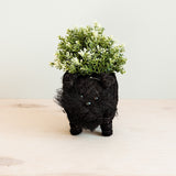 LIKHÂ Schnauzer Planter - Coco Coir Pots | LIKHÂ Planters LIKHÂ 