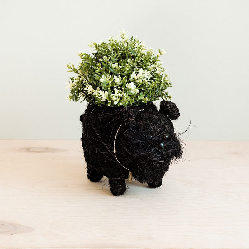 LIKHÂ Schnauzer Planter - Coco Coir Pots | LIKHÂ Planters LIKHÂ 