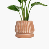 Mateo Terracotta Planter Planters MESO Goods 