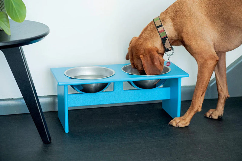 Minimalist Double Dog Bowl Dog Bowls Loll Designs 