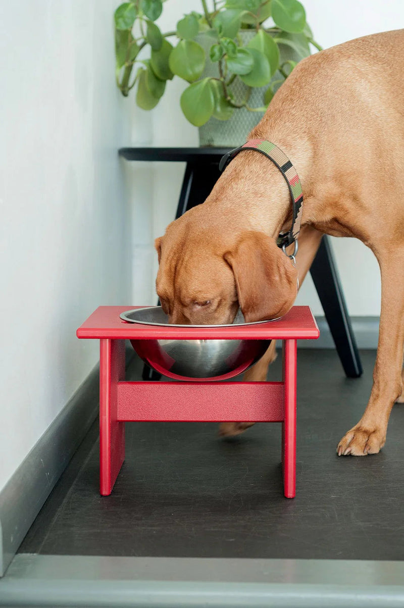 Minimalist Single Dog Bowl Dog Bowls Loll Designs 