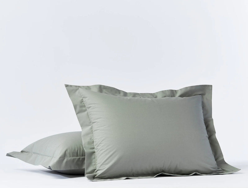 Organic Percale Sham - Euro and Standard Shams Coyuchi 