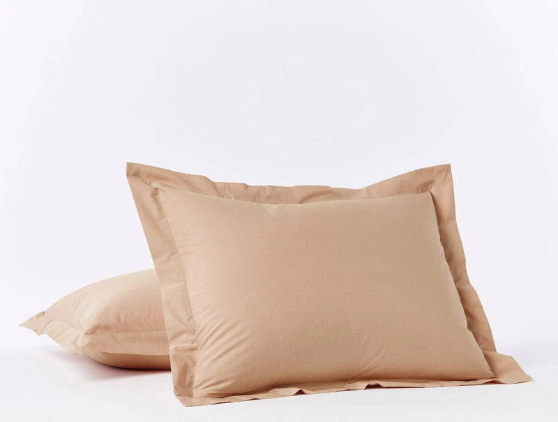 Organic Percale Sham - Euro and Standard Shams Coyuchi 