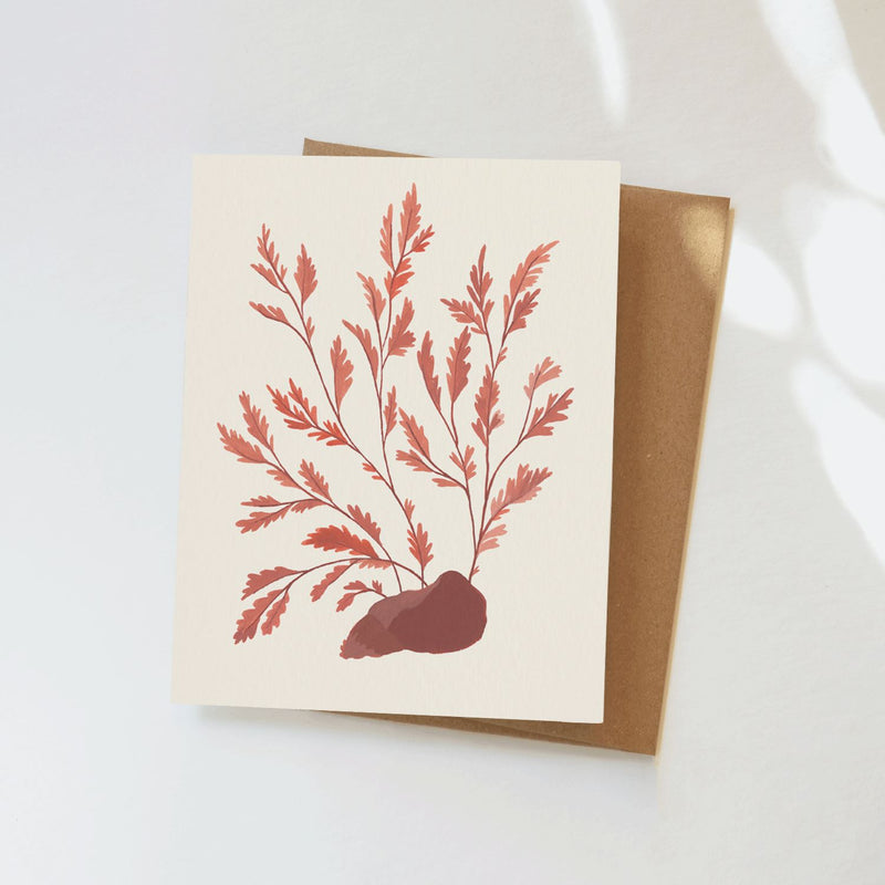 Seaweed Greeting Card Greeting Card Elana Gabrielle 