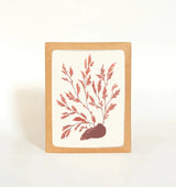 Seaweed Greeting Card Greeting Card Elana Gabrielle 