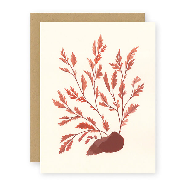 Seaweed Greeting Card Greeting Card Elana Gabrielle 