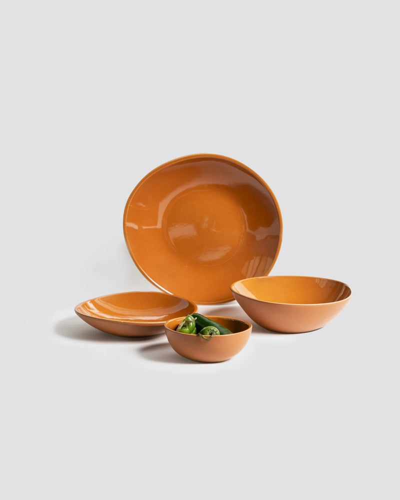 Stoneware Organic Shaped Dinnerware Set Dinnerware Sets GHARYAN Stoneware Matte Terracotta and Shiny Terracotta 