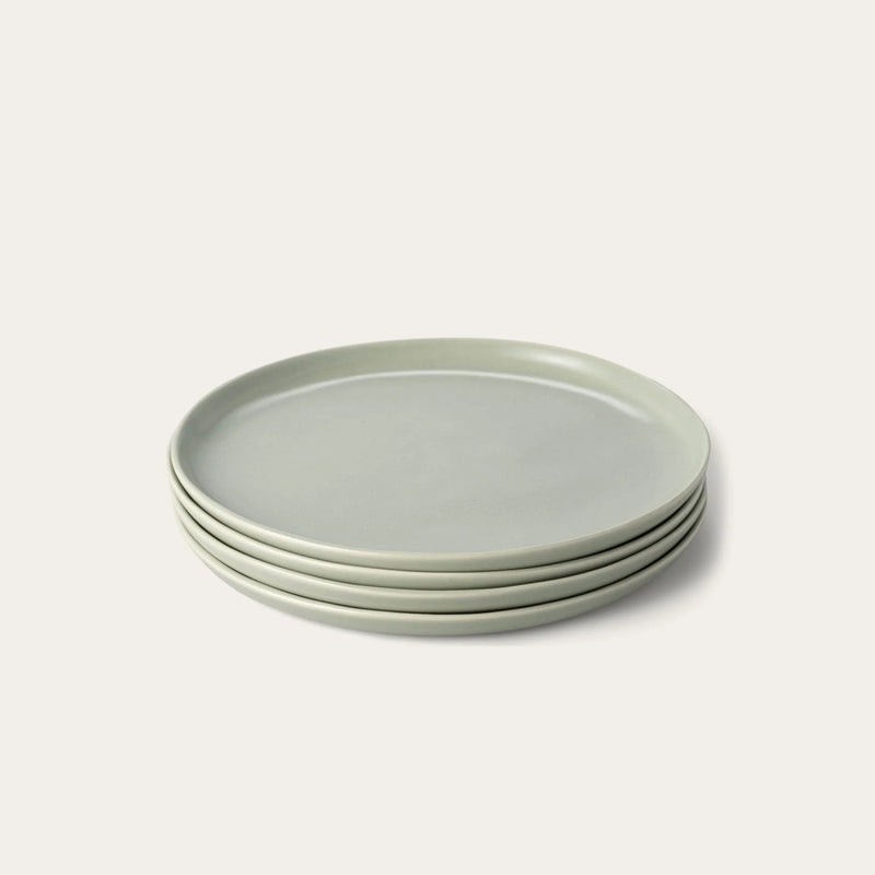 Dinner Plates Set