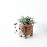 LIKHÂ English Bulldog Planter - Coco Coir Pots | LIKHÂ Planters LIKHÂ 